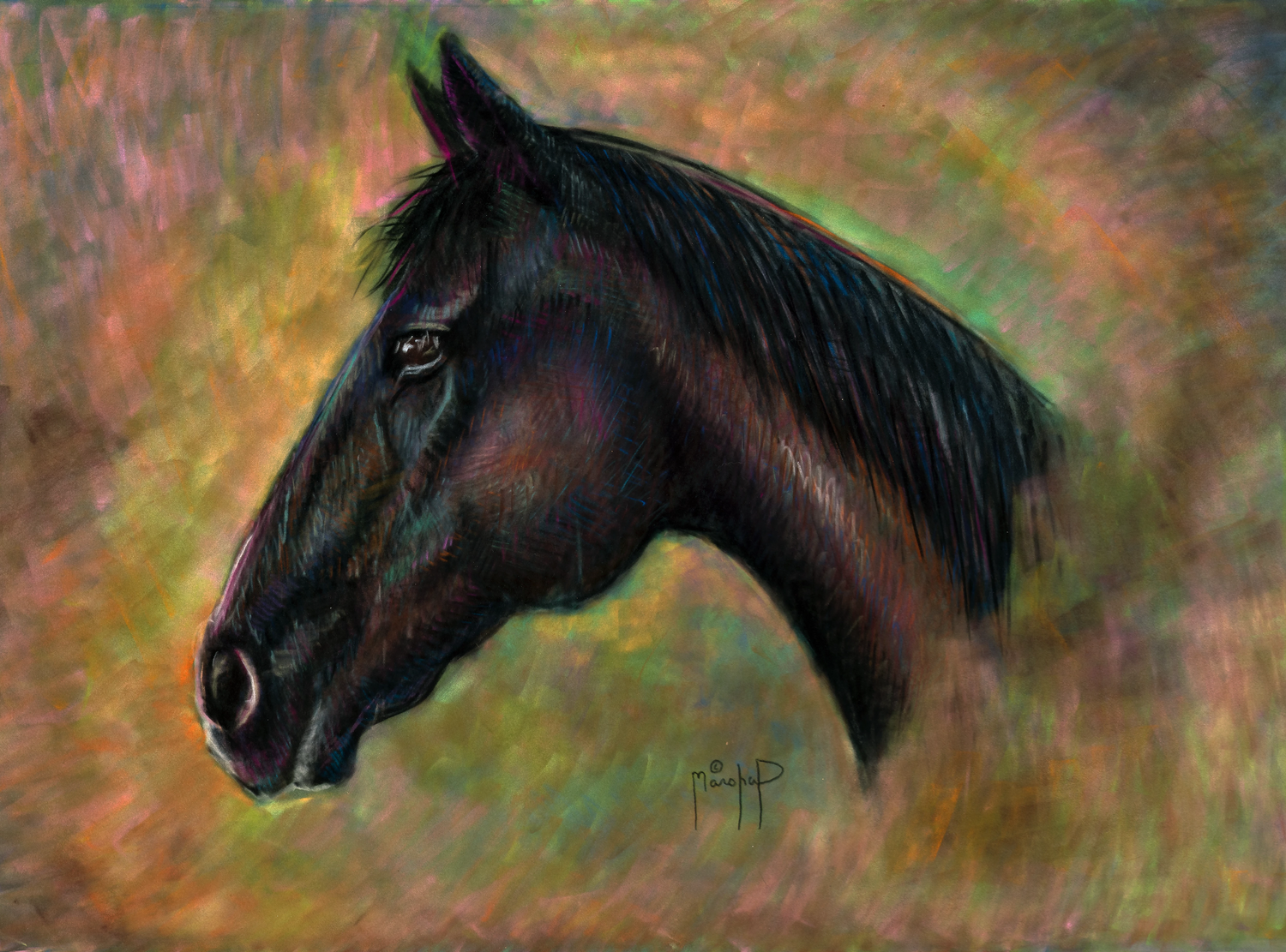 Horse 3