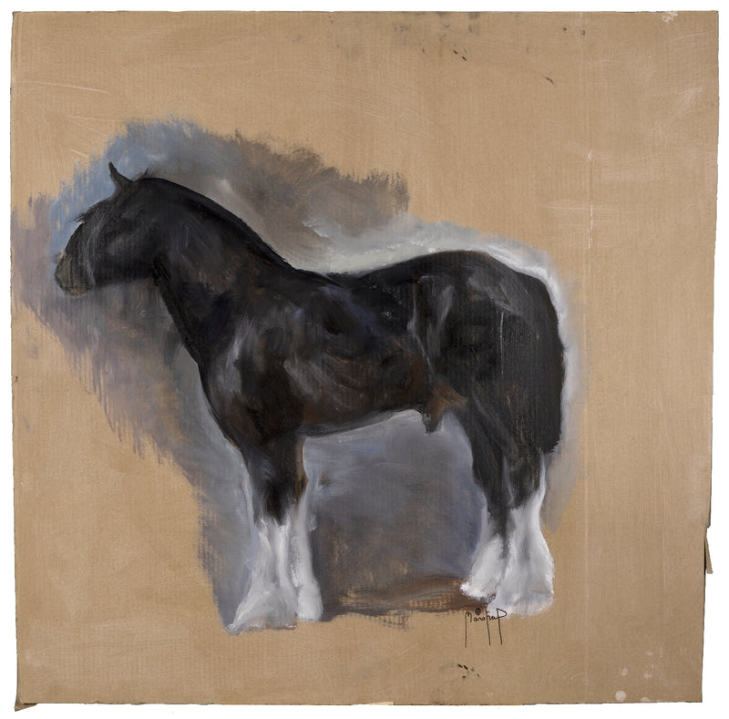 My Horse