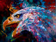 Bald Eagle Print